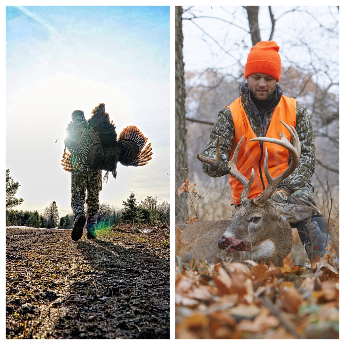 JoshSteinLand's tweet photo. Which season do you like best, Turkey or Deer? https://t.co/wrBUNsVboZ