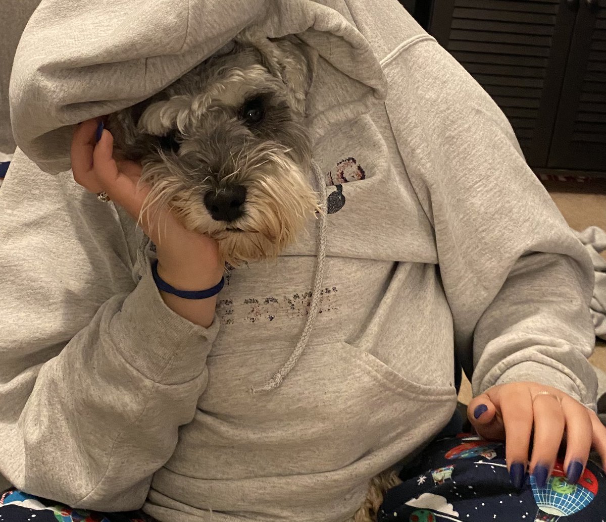 danipp33's tweet photo. @Zilgon25 once again, make my dog famous https://t.co/1eaTUH5NGO