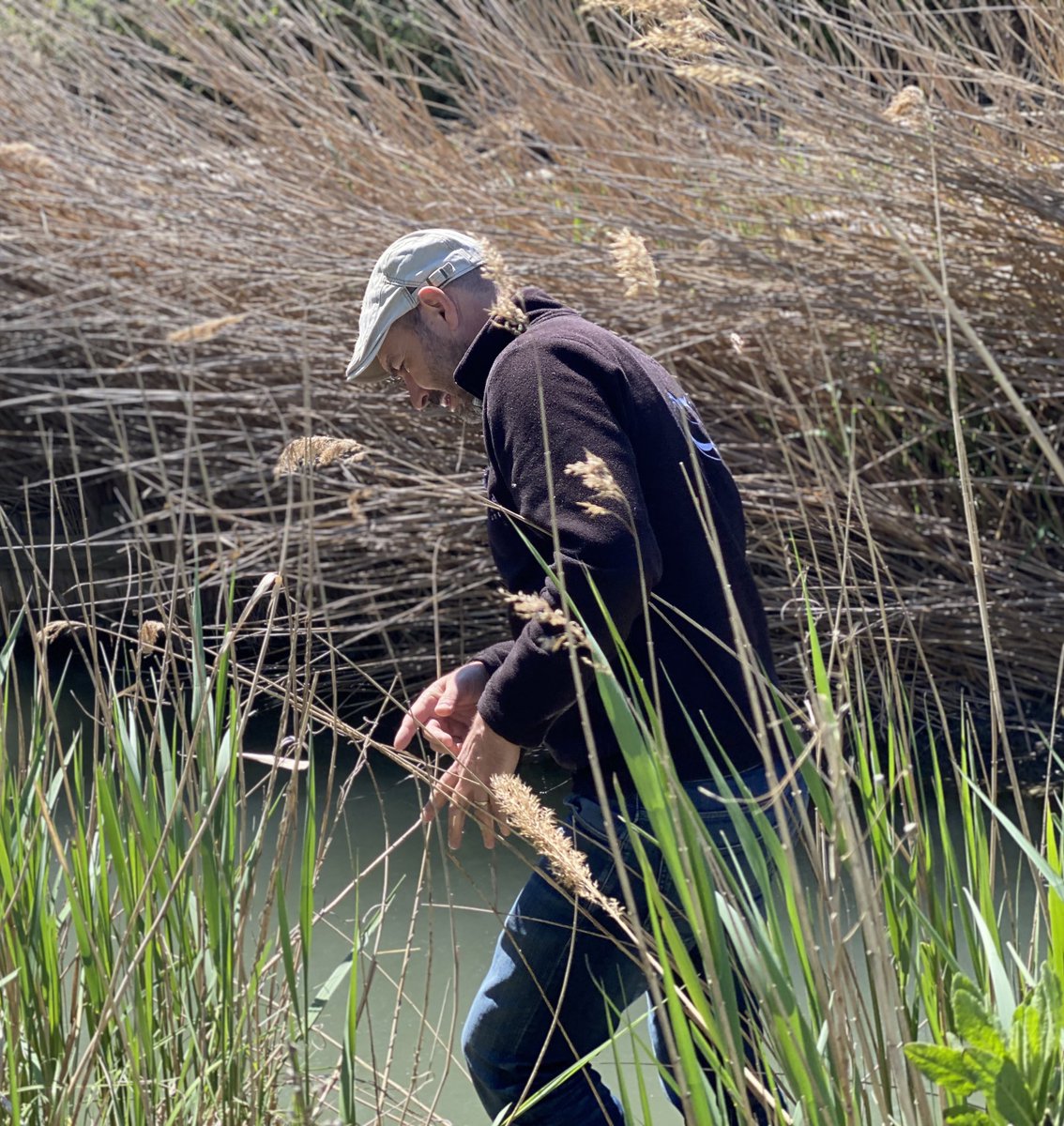 #parconithologique #pontdegau #serpent #camargue