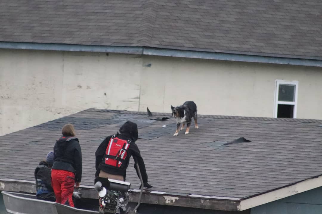 MSD_SearchDogs's tweet photo. 🔹6 Venues
🔸3 Days
🔹1 Amazing workshop! https://t.co/ZcLYuQelh7