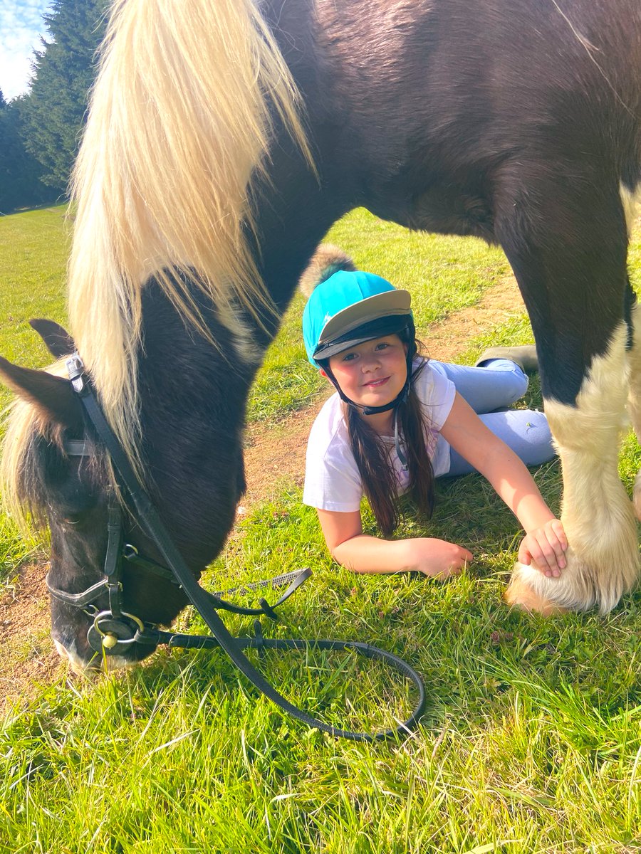 KerrieGibbons's tweet photo. Fun in the sun this afternoon! Dot and DelBoy #bestfriends #firstpony #castlelife https://t.co/ExLZVVkqWm
