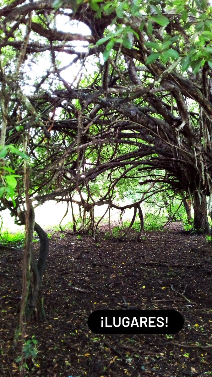 Lugares ¡¡modo finca, siempre!!