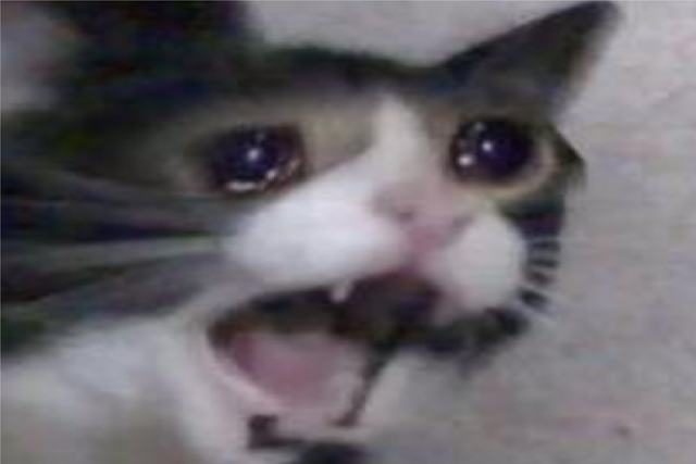 *screen goes black* 

the entire british population: #LineofDuty