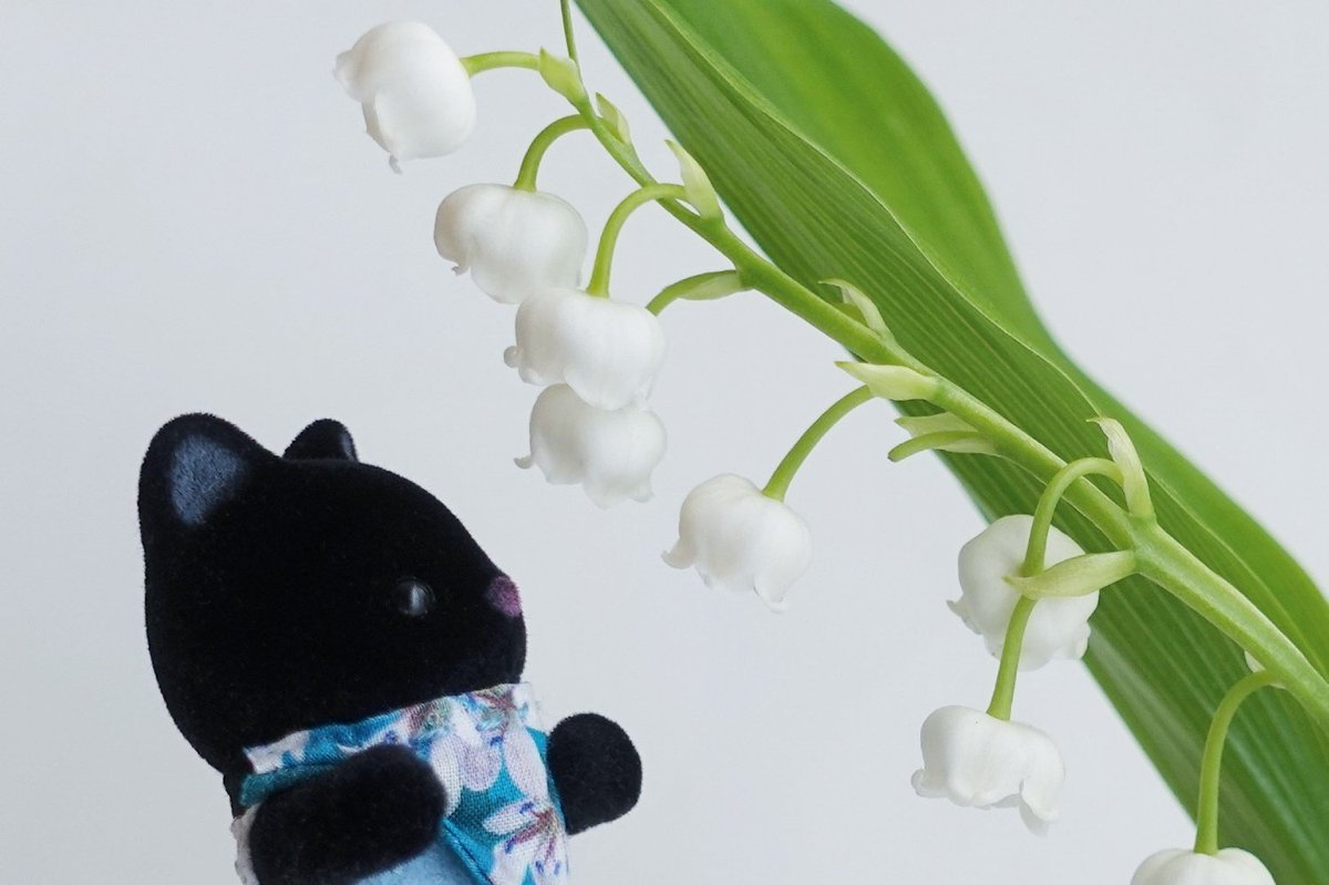 シルバニアファミリーのチャコールネコの赤ちゃん Sylcharcoal Cat Twitter