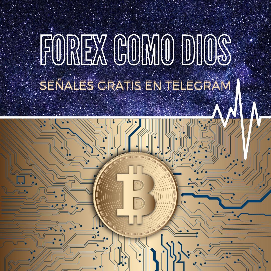 forex como dios tweet media