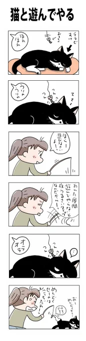 猫と遊んでやる#こんなん描いてます#自作マンガ #漫画 #猫まんが #4コママンガ #NEKO3 