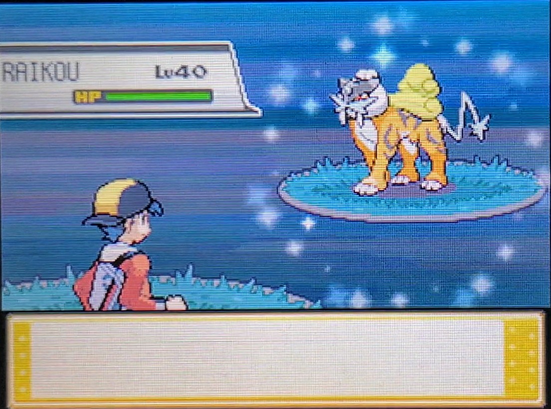Mareep Fabulousmareep Twitter Mareep Fabulousmareep Twitter