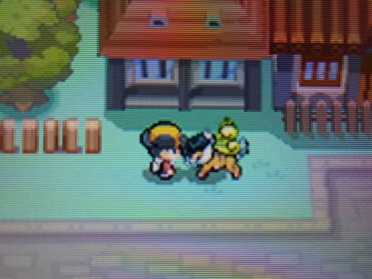 Mareep Fabulousmareep Twitter Mareep Fabulousmareep Twitter