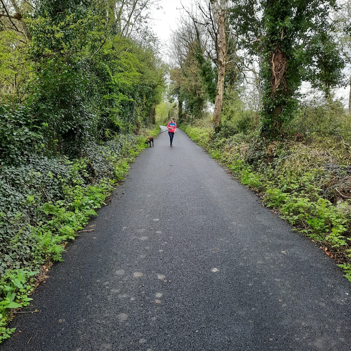 RoscommonB's tweet photo. Another great addition to our #outdoorrecreation in #Roscommon this 5k loop is beside St John's Wood and Judy's Harbour in #Lecarrow. Beautiful scenery and an ideal quick walk if working remotely and needing a #screenbreak. #ProjectIreland https://t.co/14hCwIlHKg