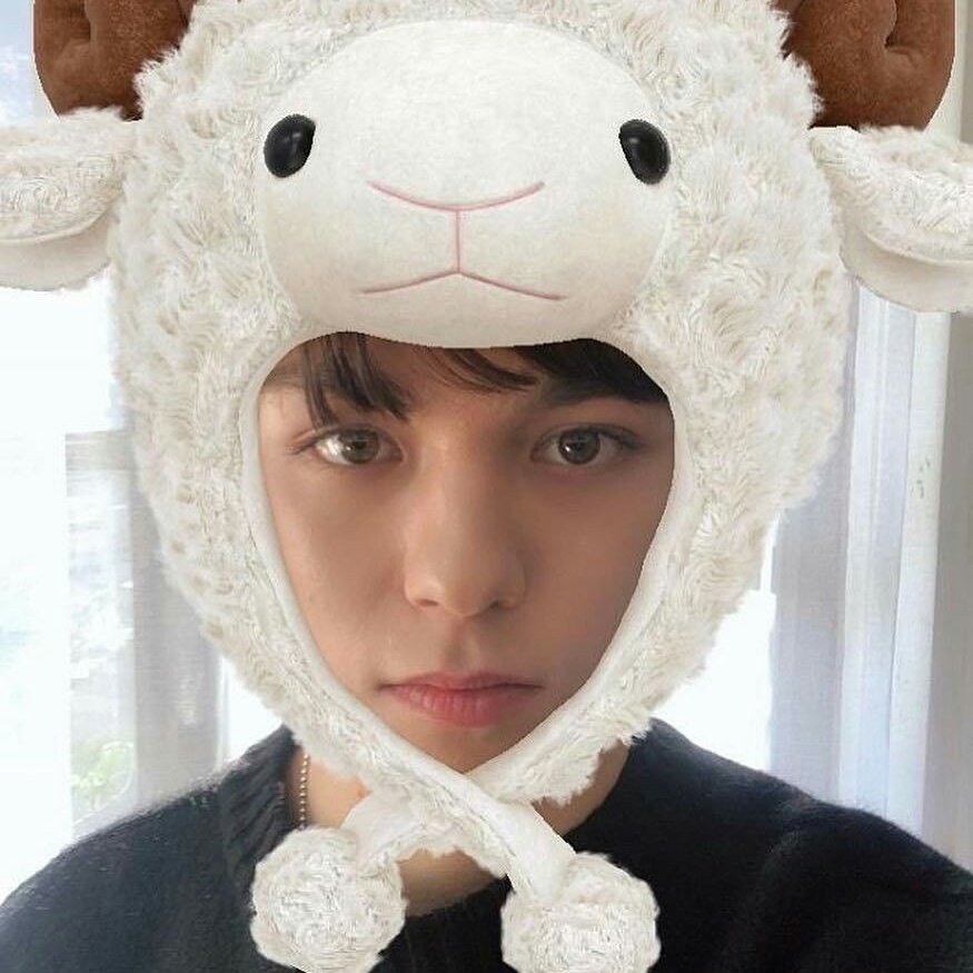 chweposts's tweet photo. Vernon showing no emotion while having the cutest filters on 😭 https://t.co/nqDdkCKGlQ