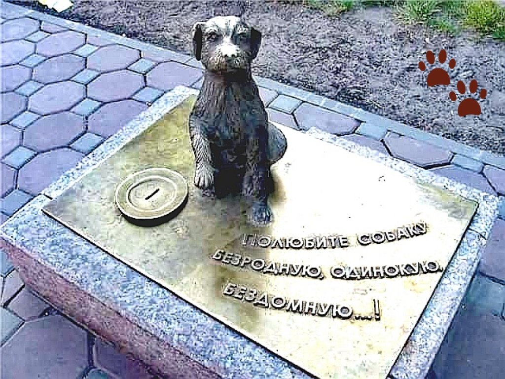 SSinepolski's tweet image. С грустью вдыхая людей безразличие,
Ангел страдает в собачьем обличии...🐕
〰️〰️〰️
Хорошая ИДЕЯ сделать такие КОПИЛКИ во всех городах, как в Тюмени.. (рядом с администрациями, где видеокамеры 👀)
#ПомощьБездомнымЖивотным