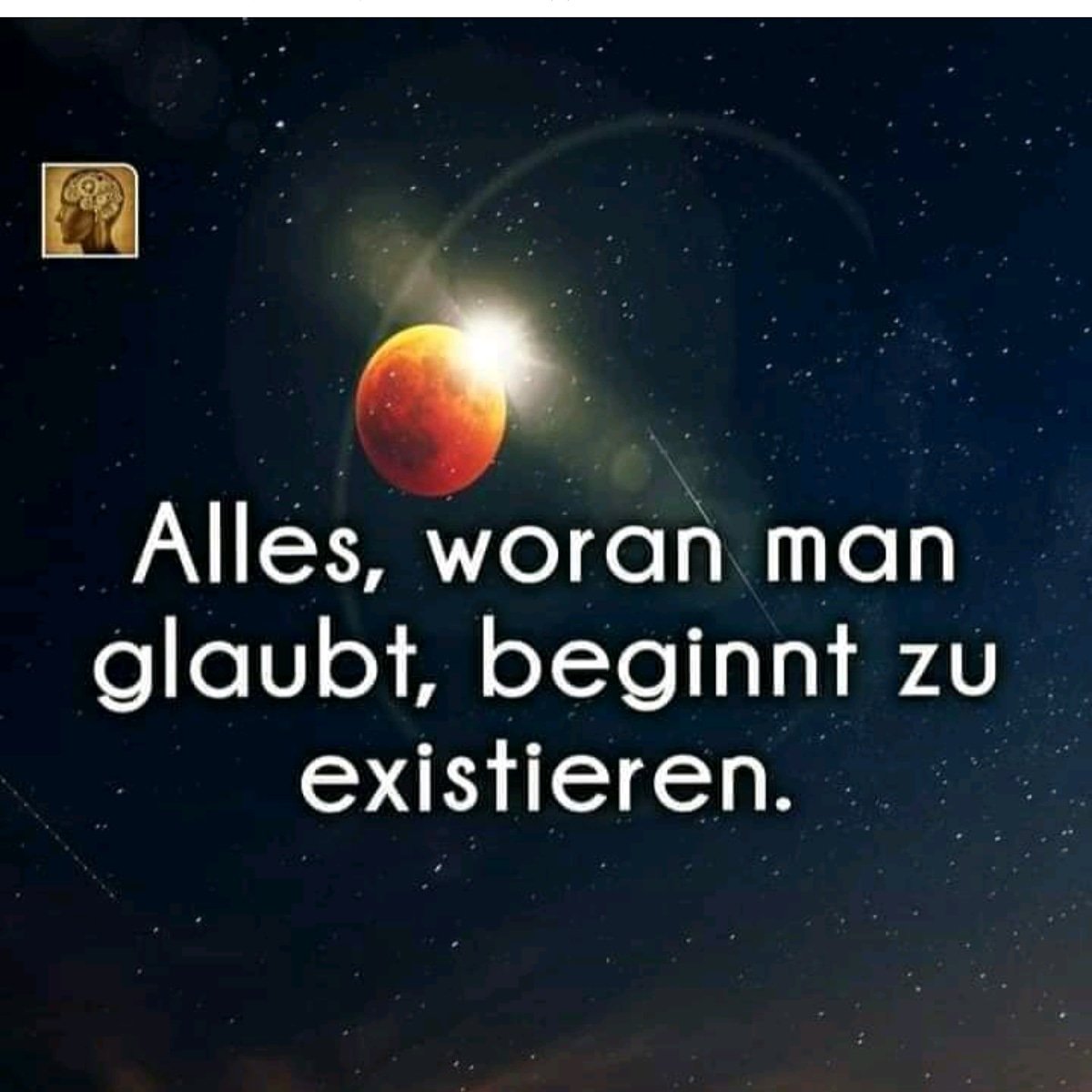 Ela79Manu's tweet image. 