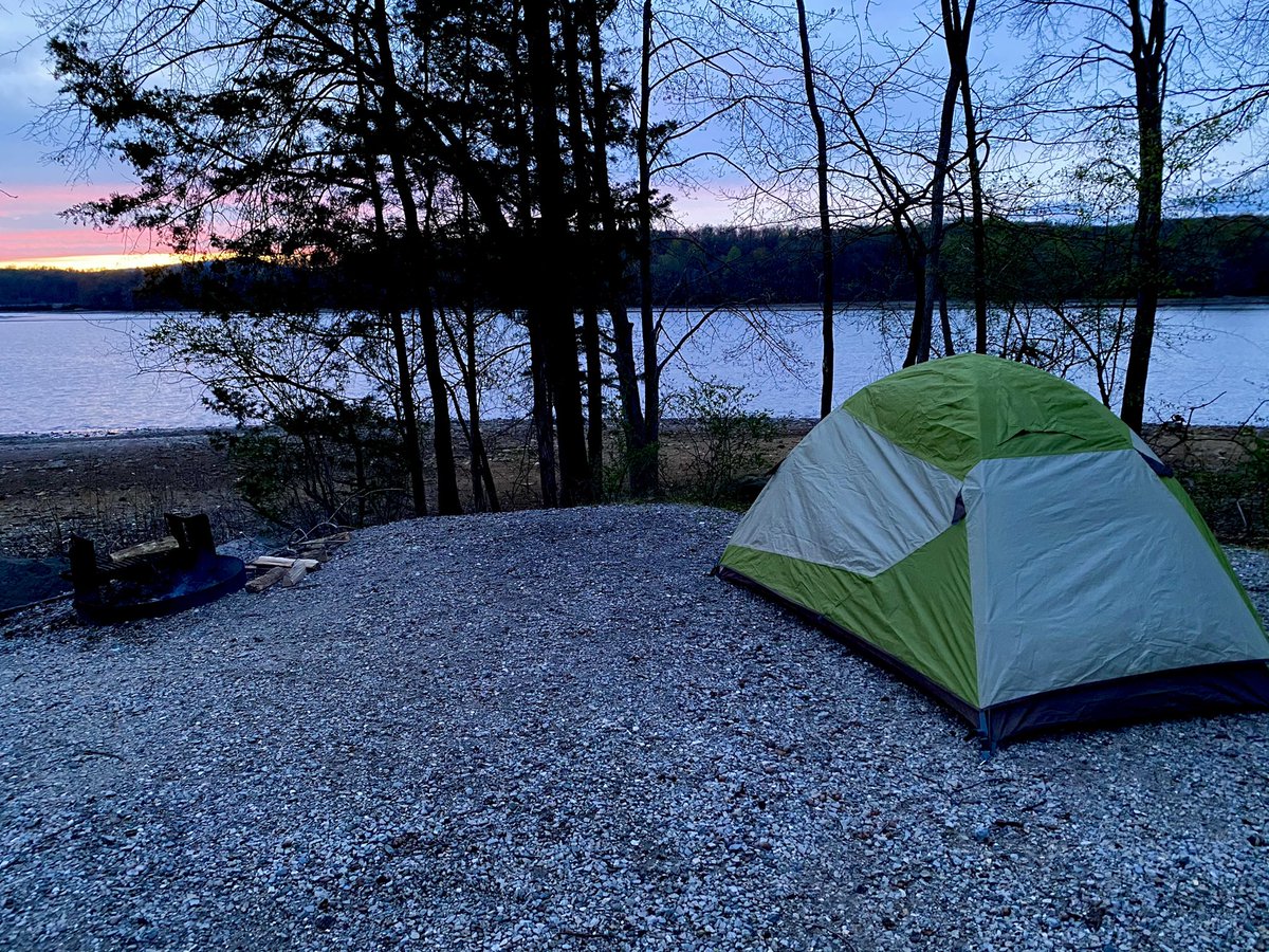 Garden update: Swiss chard and tomato seedlings have germinated! Spent the afternoon weeding most of our small plot after our wonderful camping trip last night 🏕