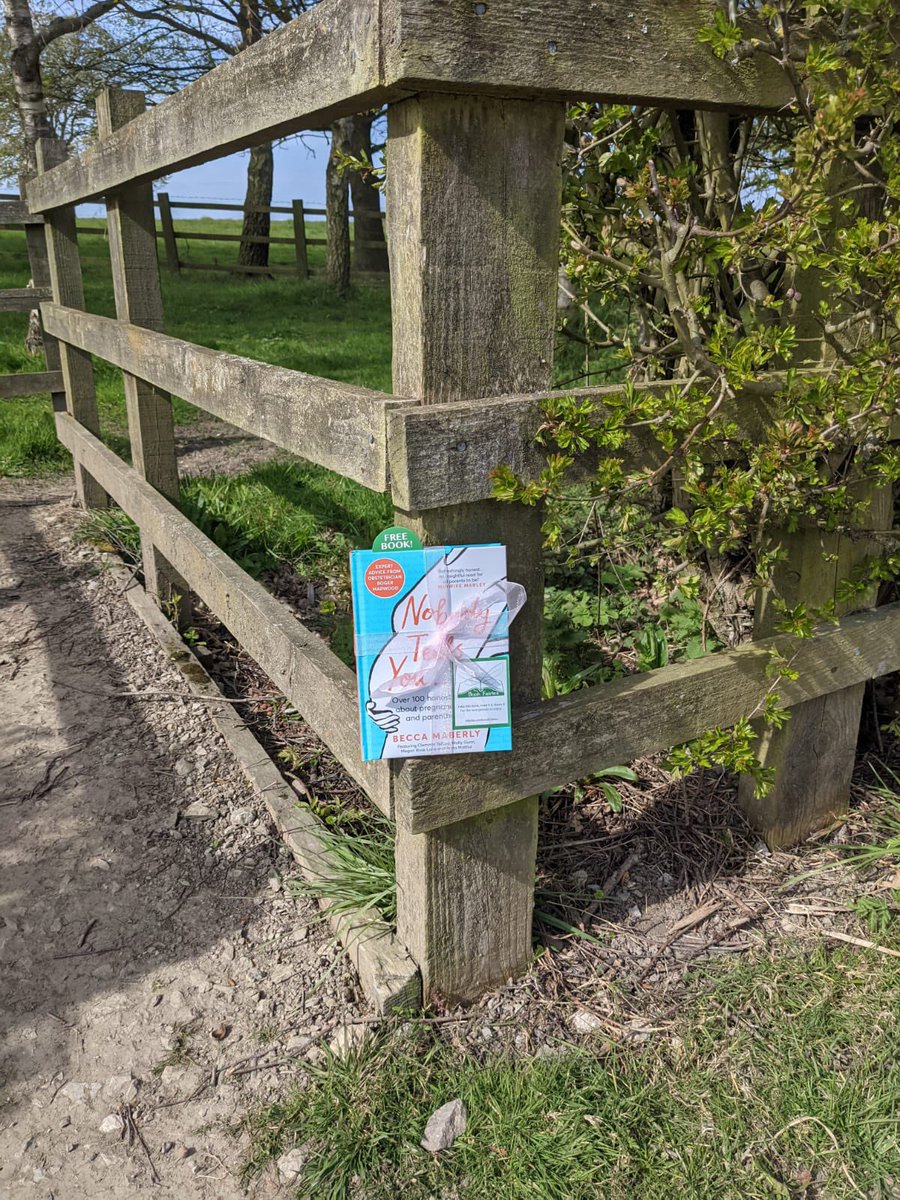 the_bookfairies's tweet photo. More pics from today’s books hidden around the UK! Aiming to help new and expectant parents looking to learn things that #NobodyTellsYou... thanks to @amotherplace for all the worldly wisdom!
@booksbybluebird #ibelieveinbookfairies #tbfnobody #freebooks https://t.co/e9GlL5NzyB