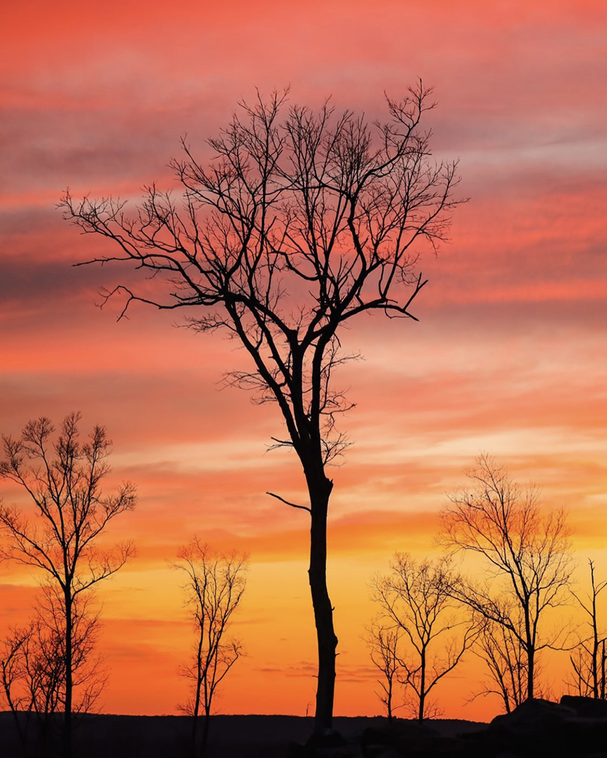 PoconoTourism's tweet photo. Red skies over Lake Wallenpaupack!
Share with us some of your favorite places to enjoy the sunset in the Pocono Mountains and tag us using the #YesPmvb hashtag!
πΈ @milkandannie
#PoconoMtns #Poconos #SunsetSunday #LakeWallenpaupack https://t.co/bGPGivKOVn