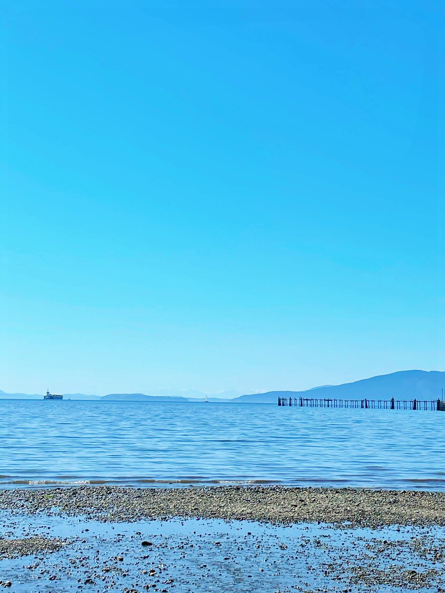 CourtStrand's tweet photo. Sunday fun day 4-mile run on trails with beautiful water views #CourtRuns #UpperLeftUSA https://t.co/CUTfH6hY3L