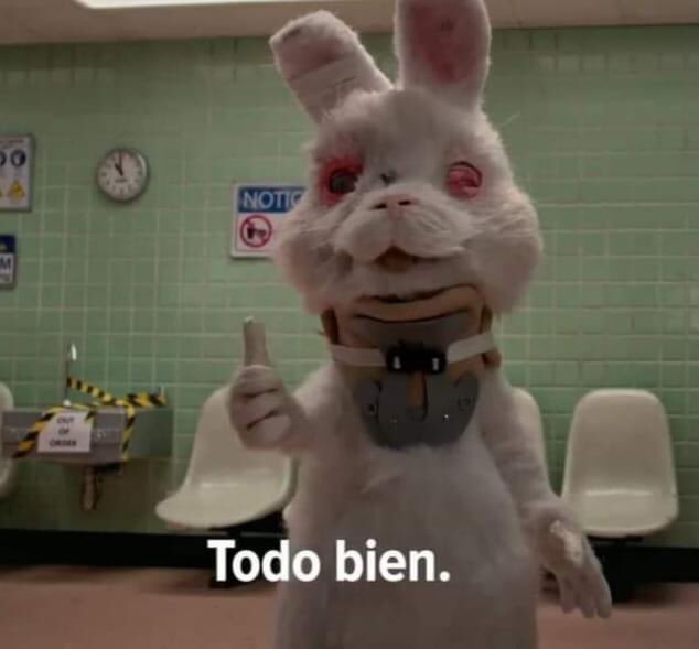 mattiasjara's tweet photo. yo sin un riñón pero en el concierto de bad bunny https://t.co/89fPFCJpm6
