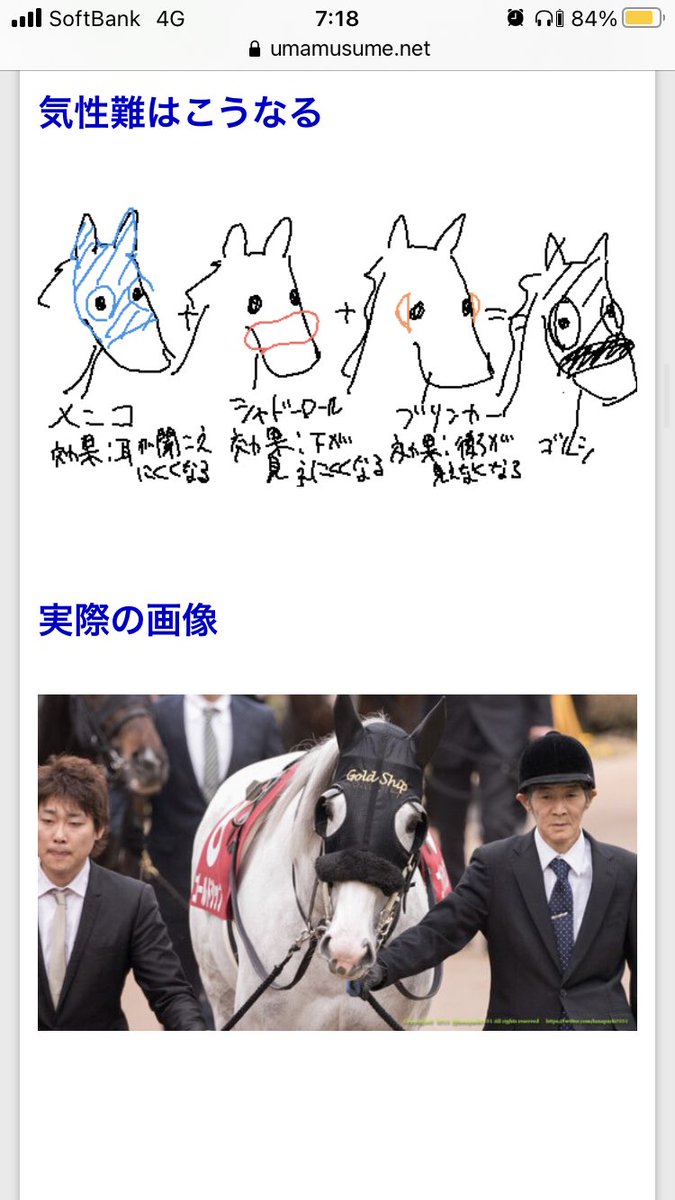 ゴールドシップが耳当てをつけているのは何故 勝負服の元ネタを解説 ウマ娘ランキングダービー うますたぐらむ