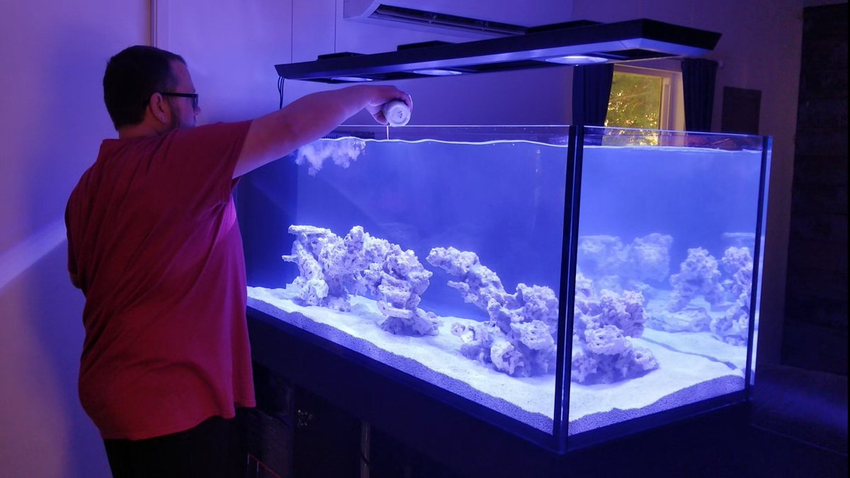sharks3dgirl's tweet photo. Over the past week we've added the aquascape, filled the Peninsula 650, added Turbo Start, Nitrocycle & Coralline Algae. Done daily water tests & sat back to watch the cycle run it's course.
-
#aquarium #coral #fishtank #marineaquarium #redseareefer #reef #reeftank #tankcycling https://t.co/Re6OPStAyb