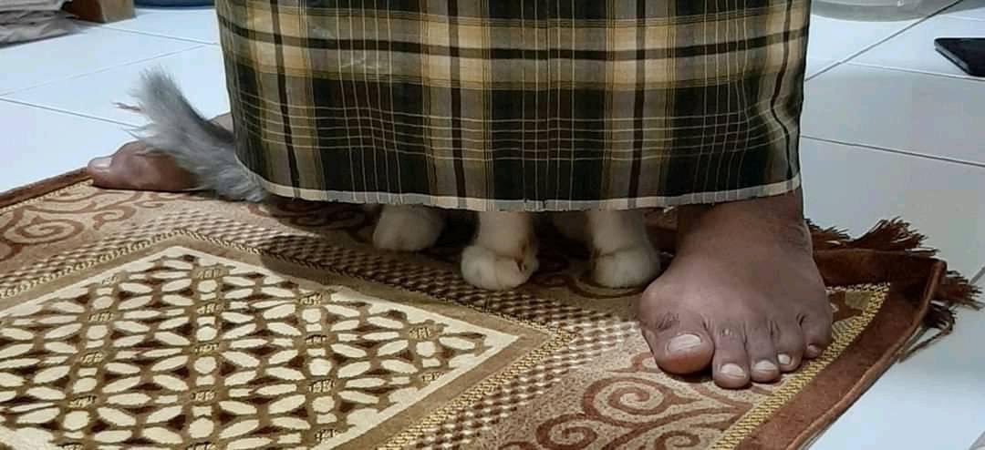 ulat_bulu_bulu's tweet photo. Mencari cahaya dalam kegelapan. https://t.co/ByPx0KY44f