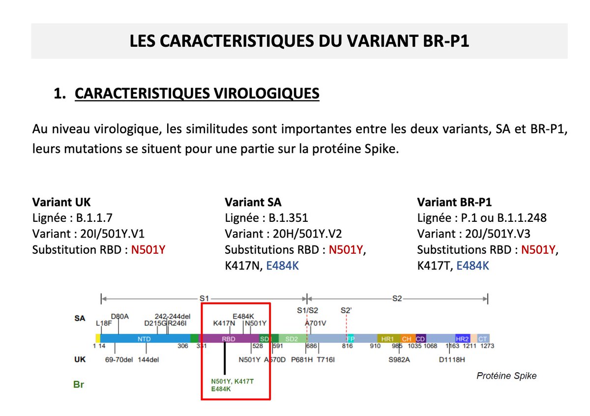 39/ Il y a un progrès réel: l'exécutif a passé commande d'une note sur P.1 au conseil scientifique ET l'a fait paraitre dans des délais courts — 8 jours après le début de ce thread, deux mois après que Manaus a appelé à l'aide internationale.  https://solidarites-sante.gouv.fr/IMG/pdf/avis_conseil_scientifique_16_avril_2021.pdf