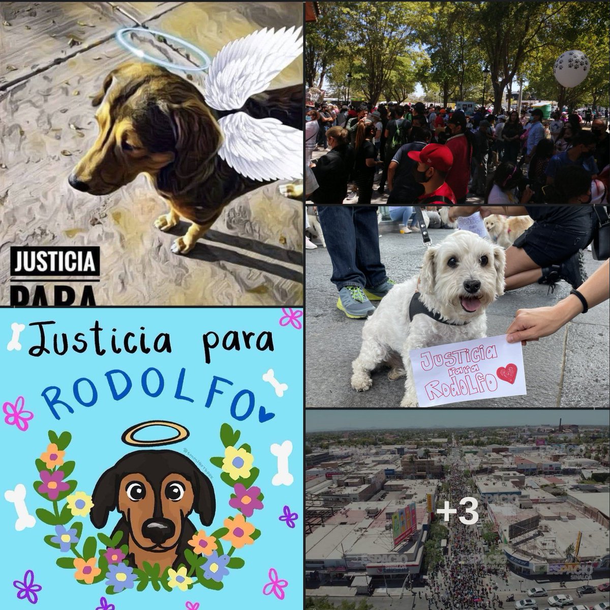 boctulus's tweet image. Cuando una sociedad se moviliza buscando justicia demuestra que no es insensible y alberga una esperanza para la humanidad.