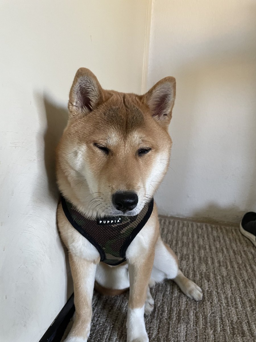 puthyb0i's tweet photo. my big boy https://t.co/cEVGnPOill