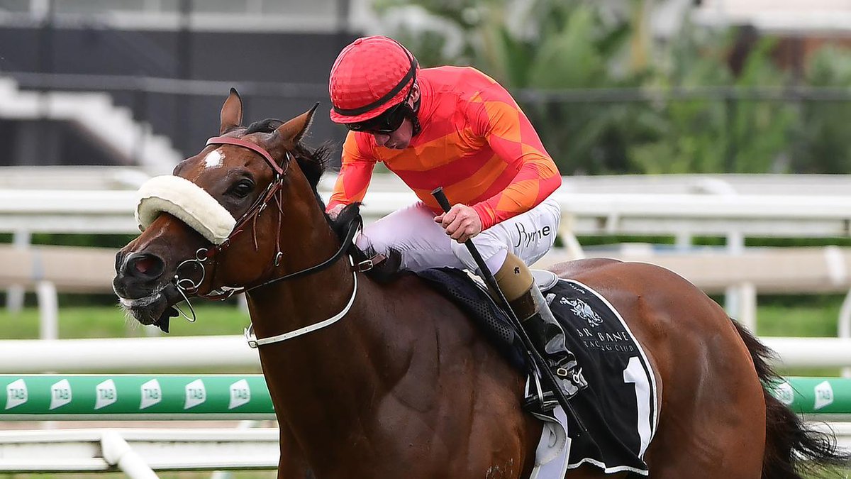 Desracing74's tweet photo. Desleigh Forster has some intriguing decisions to make with Apache Chase and one of them involves a potential Group 1 Stradbroke Handicap blueprint for the talented three-year-old.

https://t.co/MSUAOcnBOo

@BNE_racing #apachechase #racehorse @racing_qld https://t.co/tasiM6Ir44