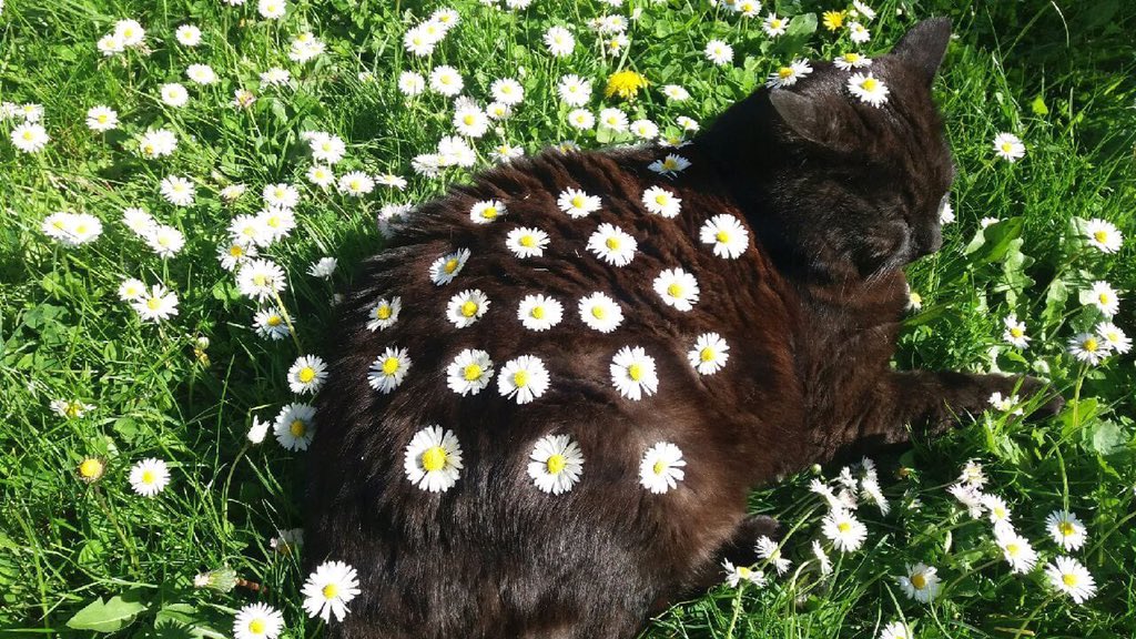 art (@artsunsettt) on Twitter photo 