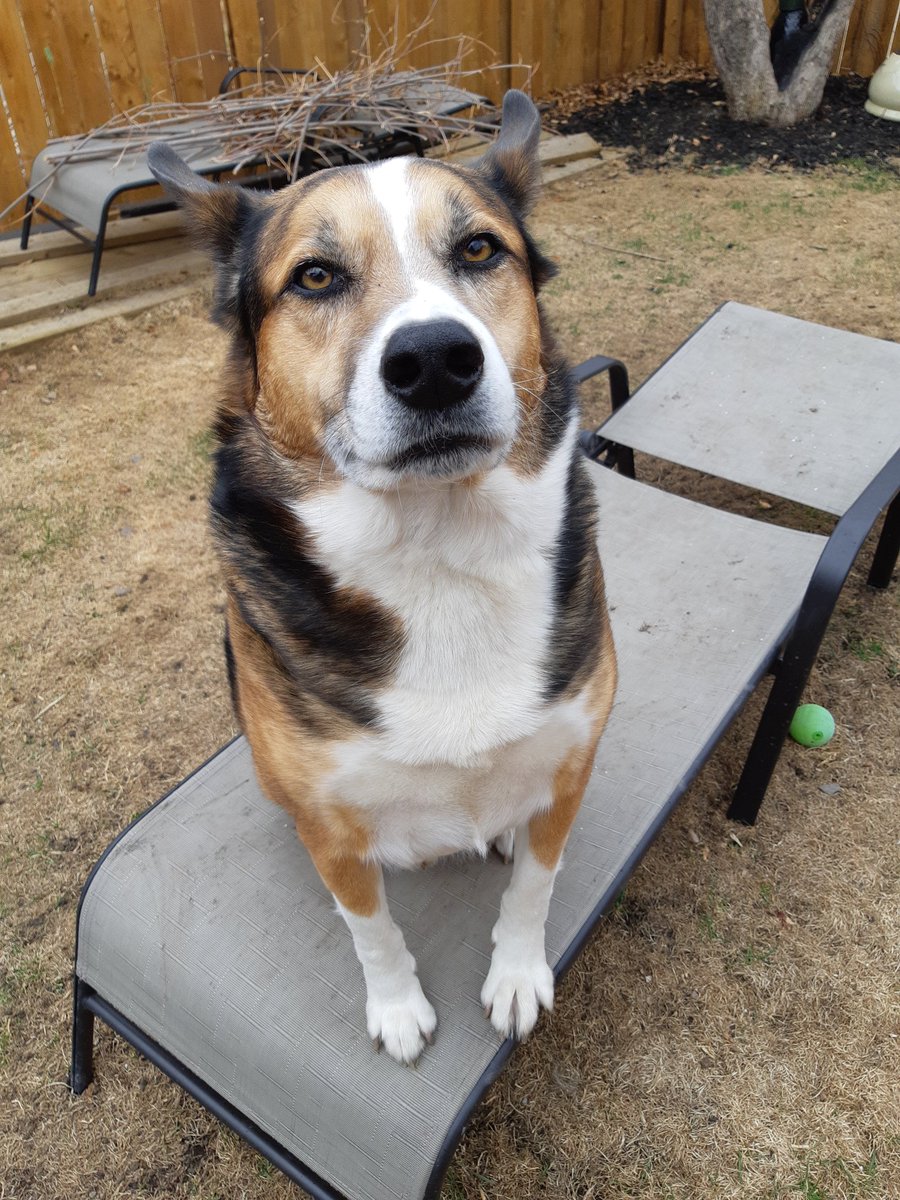 Waiting on sunshine for green grass to grow.....