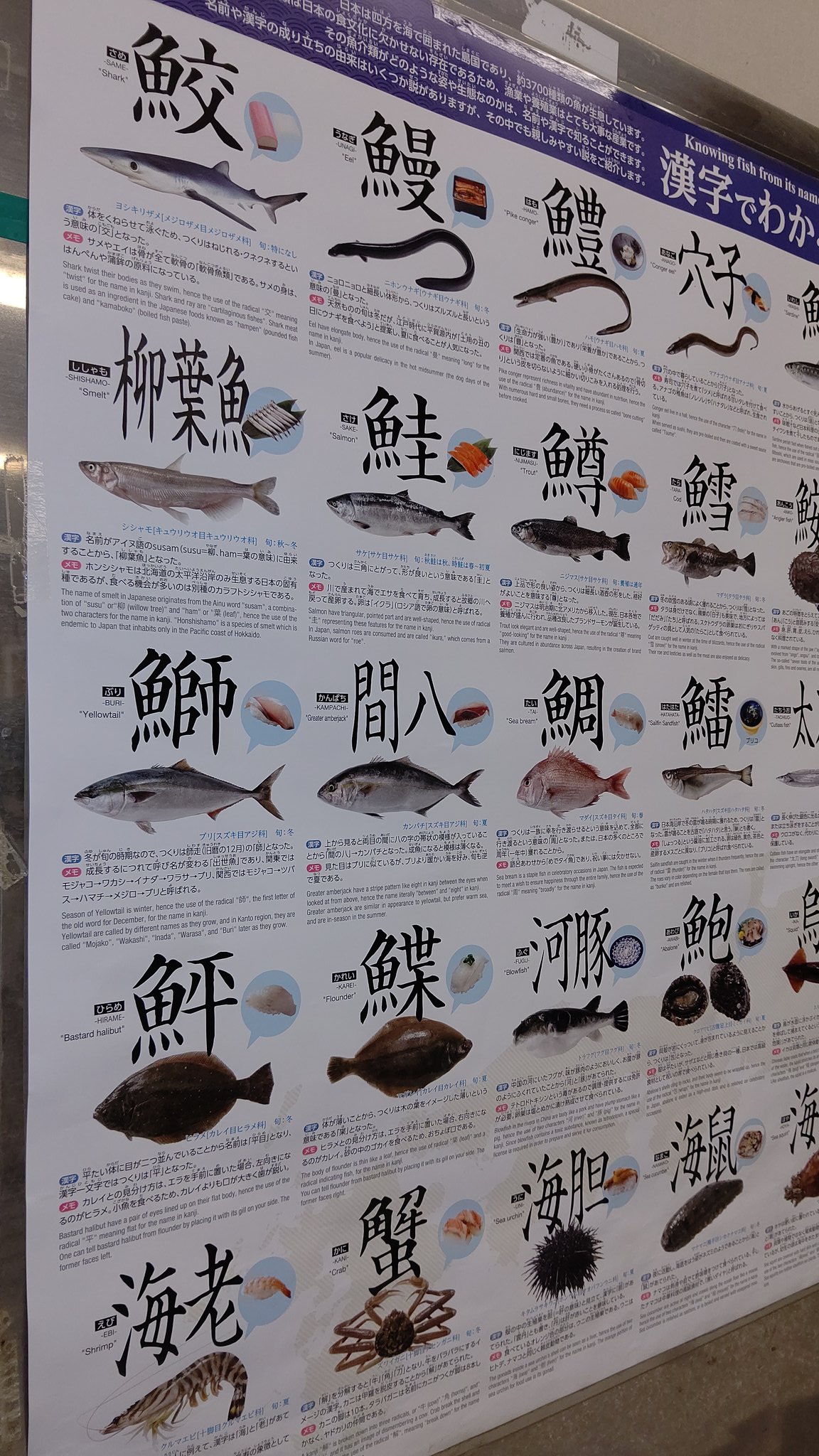 تويتر 株式会社鮮太 現場 على تويتر 魚の名前 あて字で難しいですね T Co Ovasxv3mqe