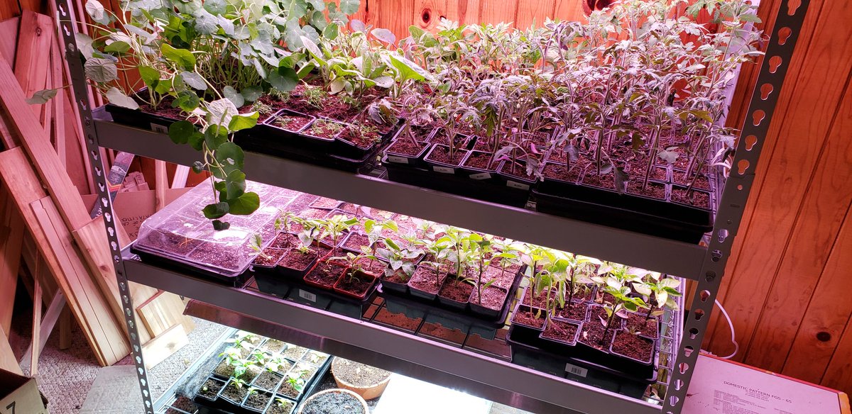 Lee Angold tweet media