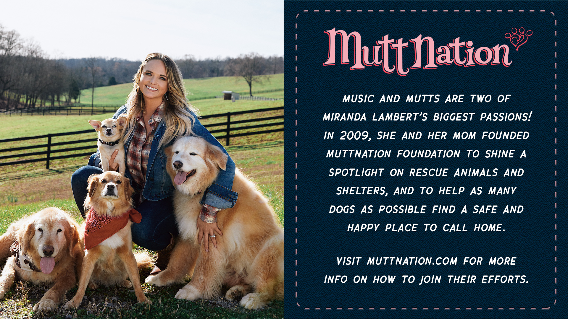 Chris Stapleton On Twitter To Support Or Adopt A Shelter Pet Visit Mirandalambert S Foundation Https T Co 9gxu2arhfa Loveashelterpet Https T Co Xiq0b5fmol Twitter Chris Stapleton On Twitter To Support Or Adopt A Shelter Pet Visit Mirandalambert S Foundation Https T Co 9gxu2arhfa Loveashelterpet Https T Co Xiq0b5fmol Twitter