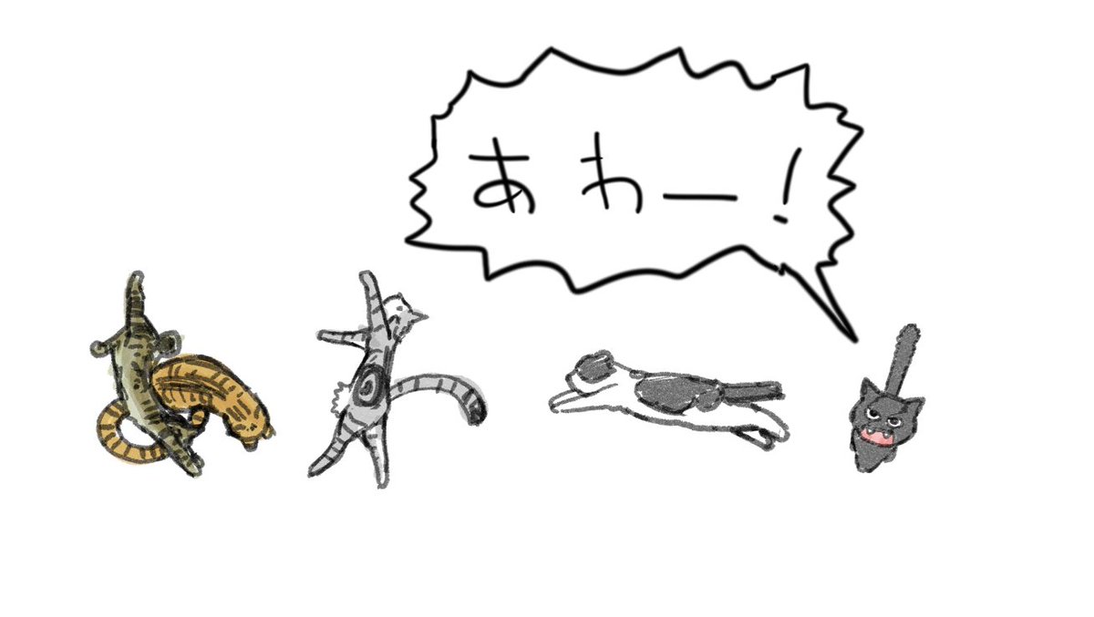 @rikotekibaniko あわー! 