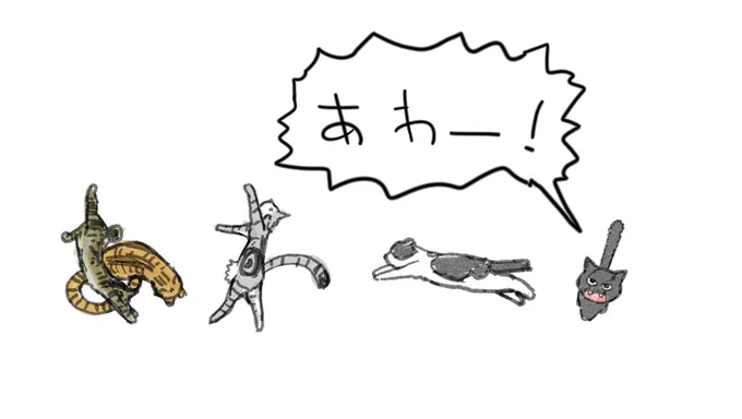 @rikotekibaniko あわー! 
