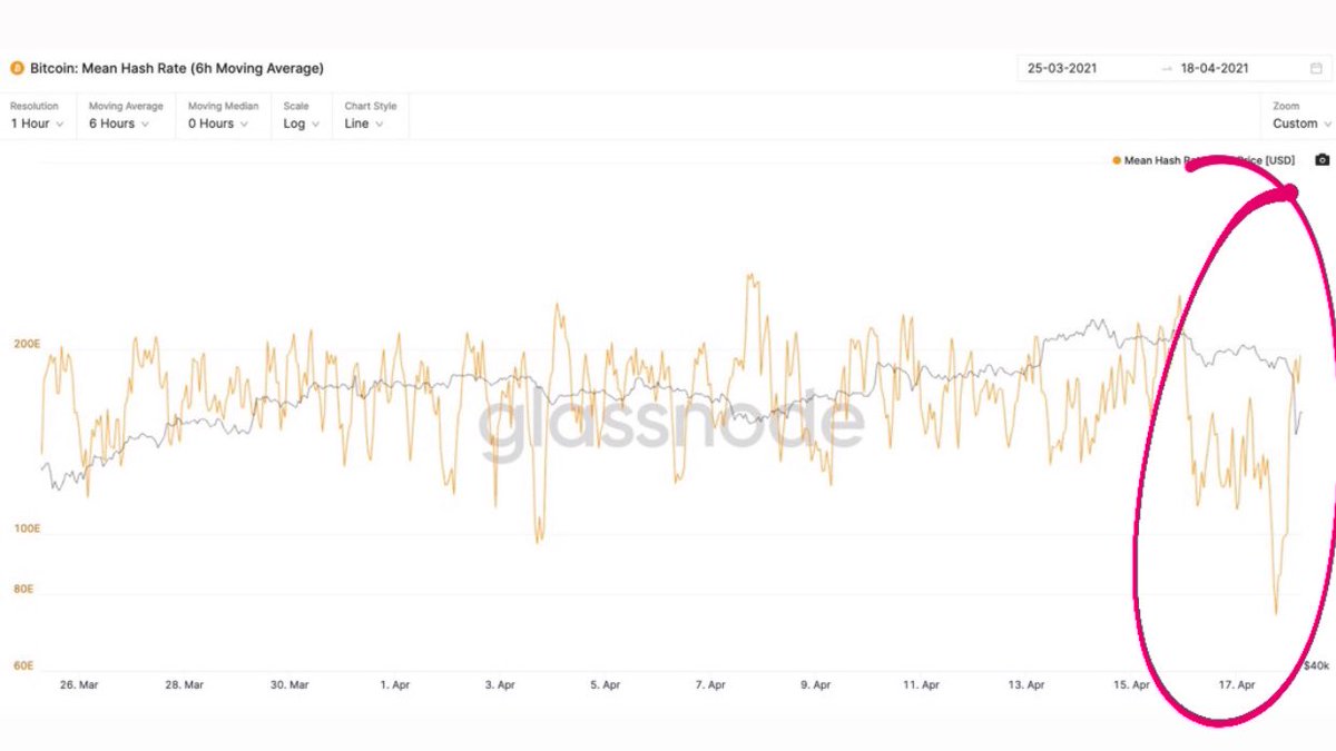 Diversitas tweet media