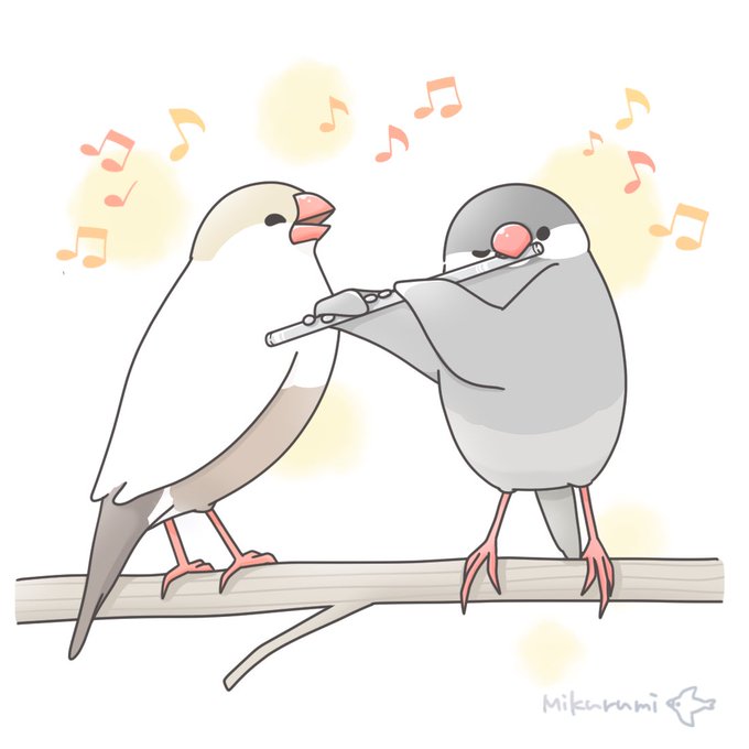 かわいい文鳥のtwitterイラスト検索結果