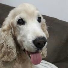 ❤❤❤❤❤❤❤❤❤❤❤❤