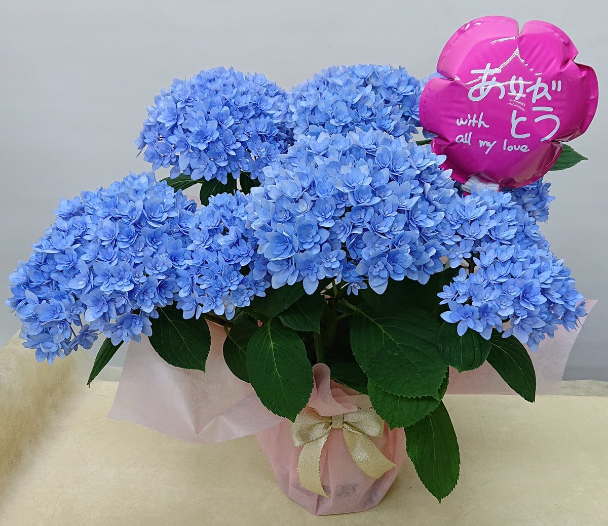 花空間 Hanakukan87 Twitter 花空間 Hanakukan87 Twitter