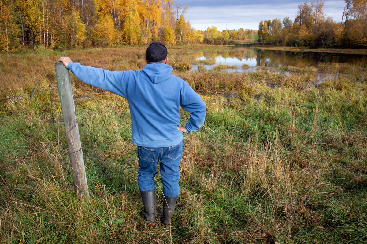ALUS_Solutions's tweet photo. This week’s Sunday Night Long Read is a from @Lis_Ashton looking at emerging carbon offset markets for the agricultural sector. Market and regulatory signals suggest that producers will soon have new ways to give value to their operations.
https://t.co/aZlMnHhgwZ #ag #economics https://t.co/8mo0B2pH3Z