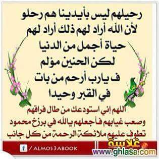 baishiraqi's tweet photo. https://t.co/m27X3mOPIx