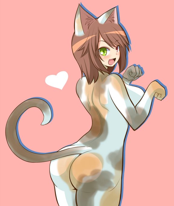 猫蒼星石、ハグAILEくん 