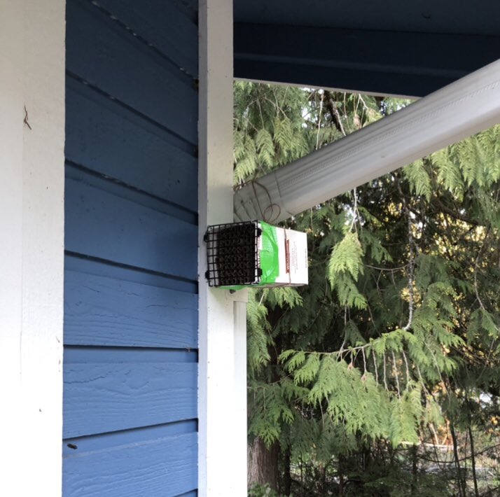 ⁦<a href="/SmithBrosFarms/">Smith Brothers Farms</a>⁩ Perfect enclosure for 92 mason bee tubes — hopefully a few move in!