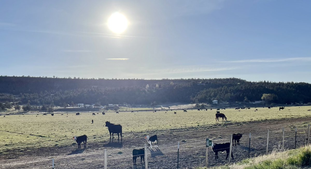 Rachel Wente-Chaney tweet media