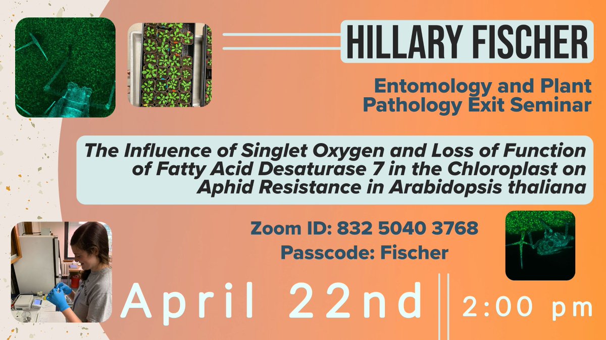 ib_ento's tweet photo. Join @ArkansasEPP this Thursday at 2 pm for @hillfisch's exit seminar! https://t.co/fb5AsBKePu