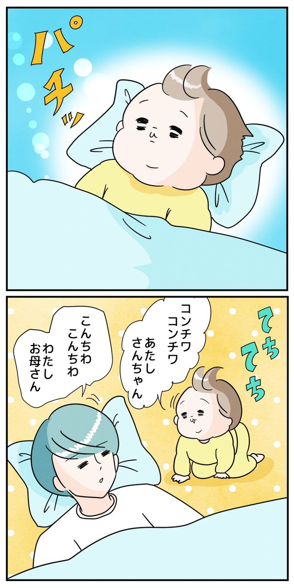 コンチワ 