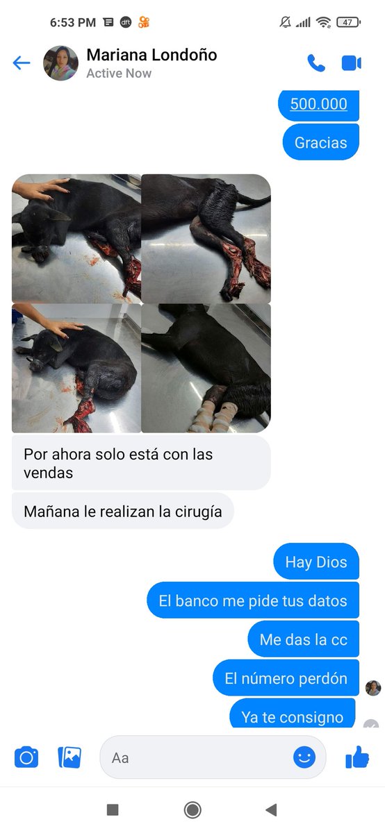 dianamilena2013's tweet photo. !!Denuncia!! esta  persona esta pidiendo dinero con un caso que no es de ella y se esta robando los aportes.  Caso de la Sra. Bety Gómez en Santa Marta y ella lo reporto en Medellín es una estafadora  x q el caso si existe pero la desgraciada no lo tiene se llama Mariana Londoño. https://t.co/Z21dJEeFXP