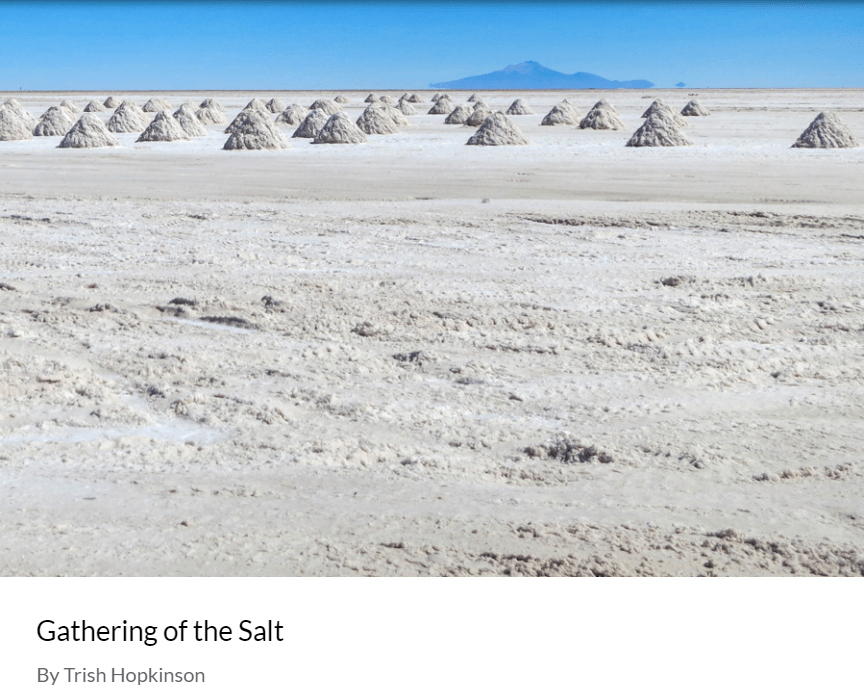 trishhopkinson's tweet photo. My poem “Gathering of the Salt” published by Utah @ 125 for Utah’s 125th anniversary #thrive125 @UTHeritageArts #poetrycommunity #poems #poetry #Utah https://t.co/0Lt7yIAkLv https://t.co/ZFoKpRcEft