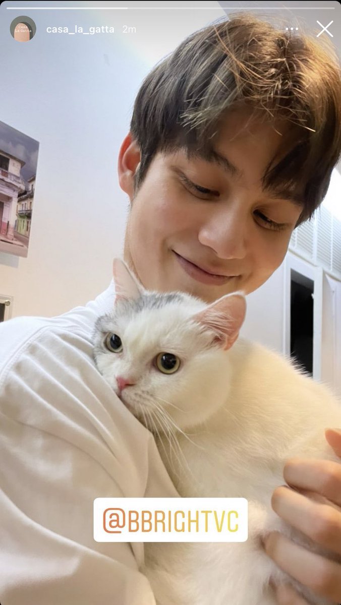 allbright_ofc's tweet photo. ละมุนบอย 🥺

IGS casa_la_gatta

#bbrightvc https://t.co/iRBrmM1bq6