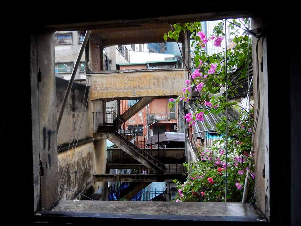 NomadicBrits's tweet photo. There is plenty of things to keep you busy in Ho Chi Minh (Saigon)
https://t.co/bOiq29E2SR
#travel #lookatourworld #travelbloging #travelbloggers #AerobicClasses #HoChiMinh #StreetFood #Thailand https://t.co/TPpNhKvhXV